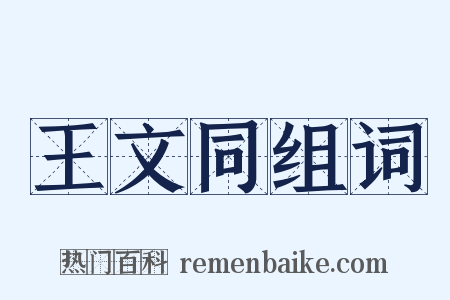 王文同组词是什么意思的图片